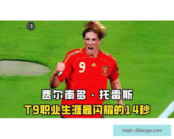费尔南多·托雷斯宣布在日本正式退役 结束传奇足球生涯