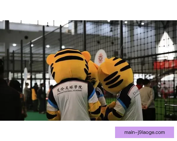 隆东帕丘卡重焕辉煌再度崛起迎接足球职业生涯新高峰